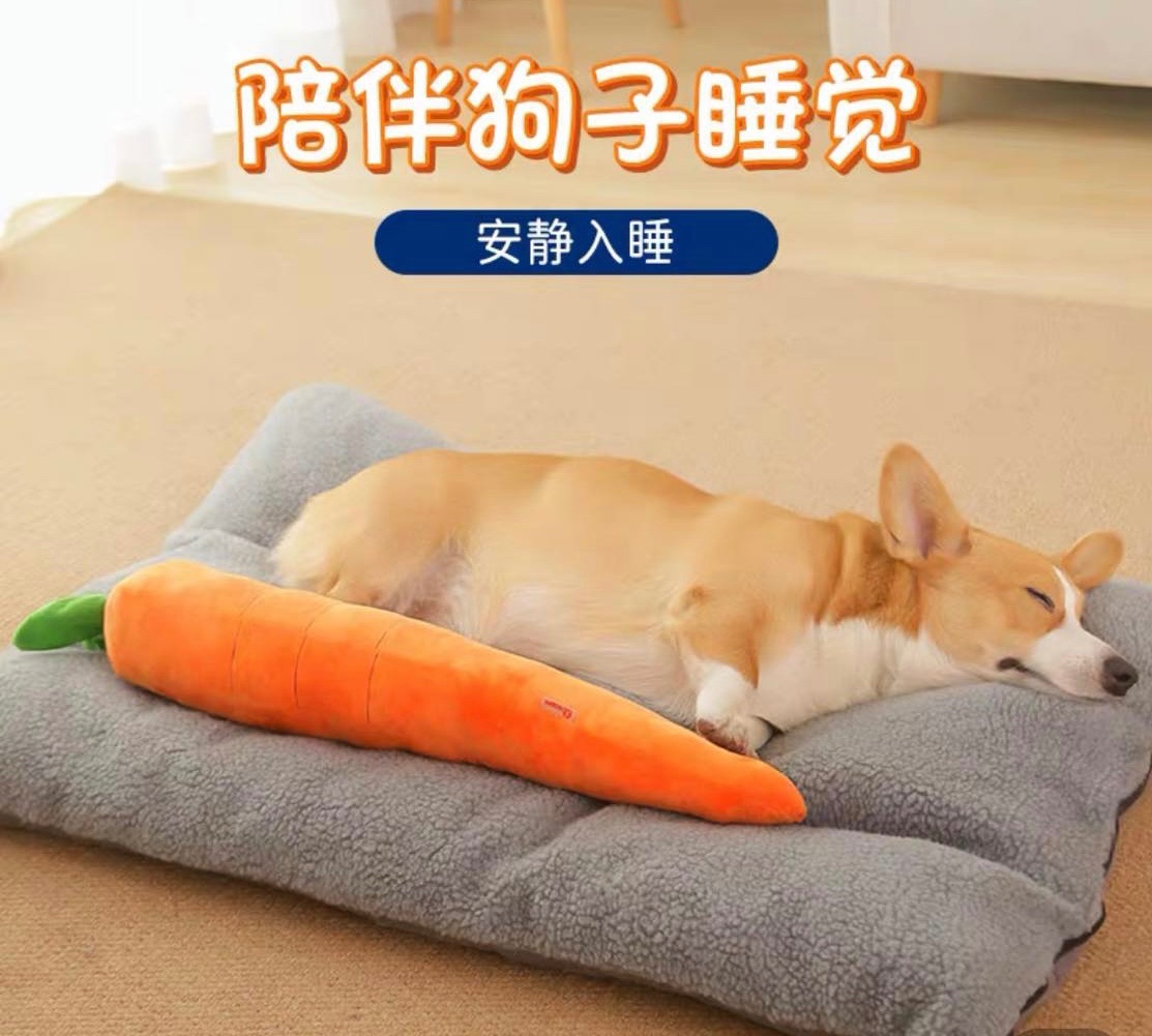 陪睡紅蘿蔔🥕熱賣中大小一起買在送小小蘿蔔喔～