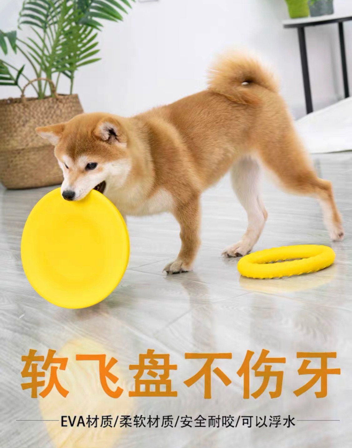 狗狗玩具飛盤EVA發泡耐咬狗狗玩具訓犬用寵物球啃咬拉環寵物玩具預售中