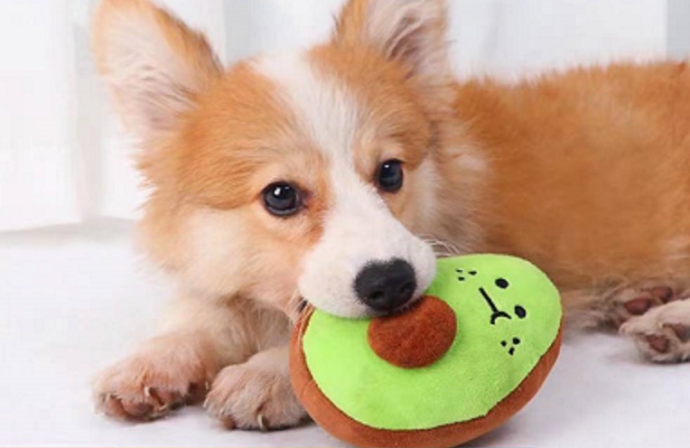 發聲雞腿現貨!!!