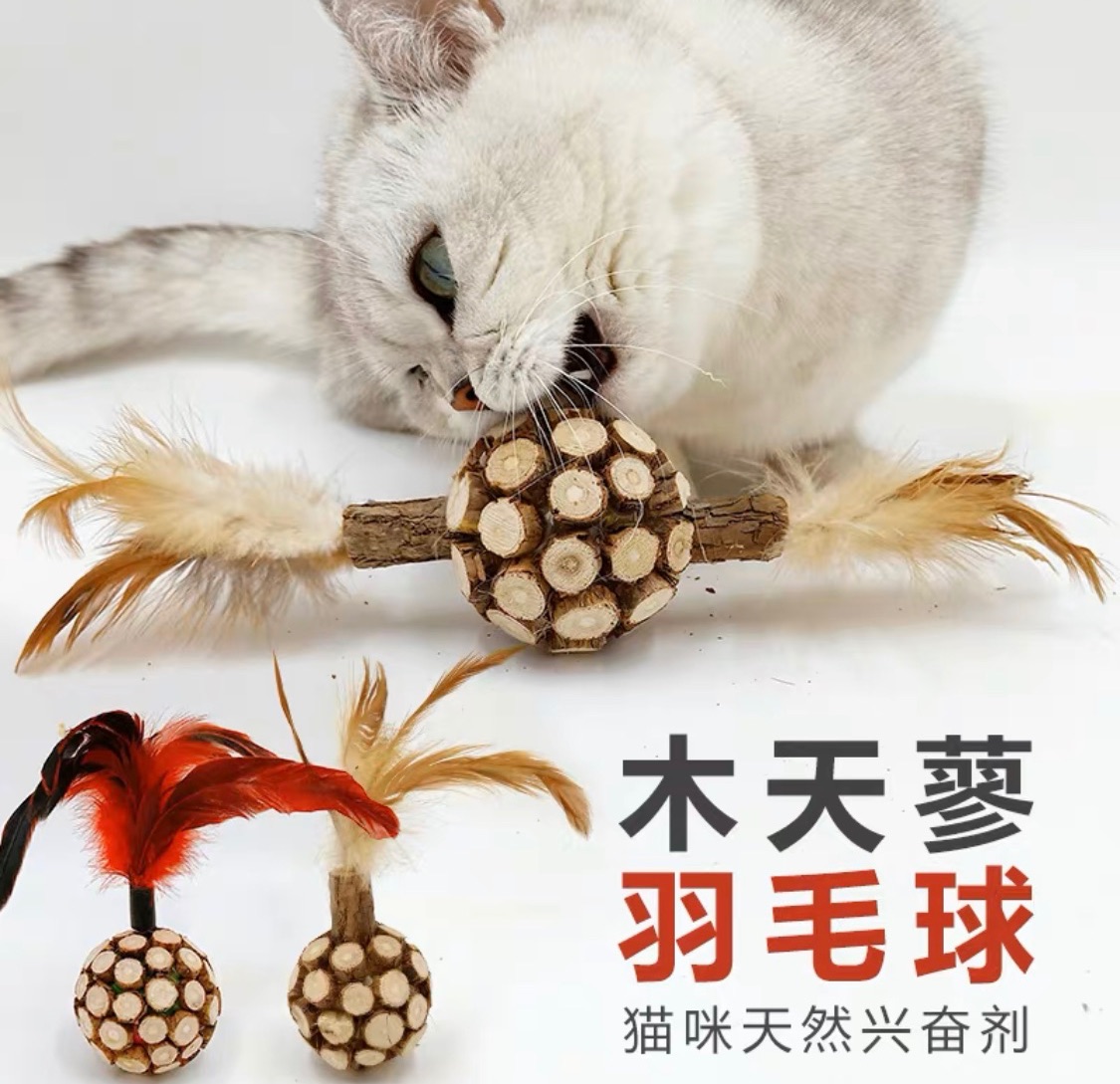 貓玩具球大號靜音木天蔘棒都貓球
