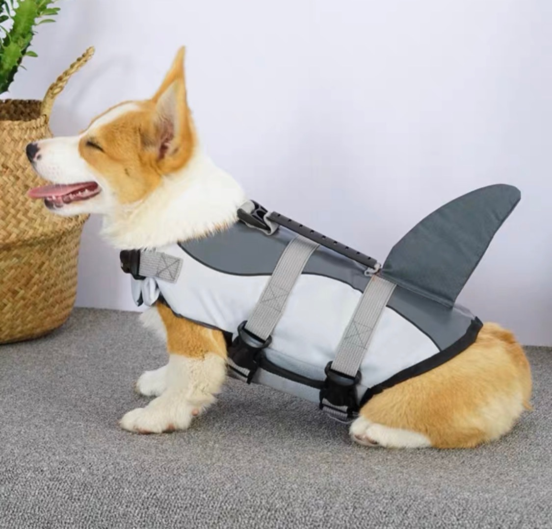 寵物救生衣