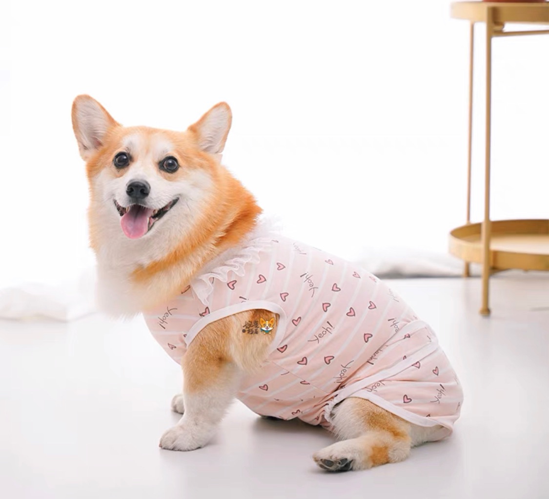 生理褲  全包/露尾巴