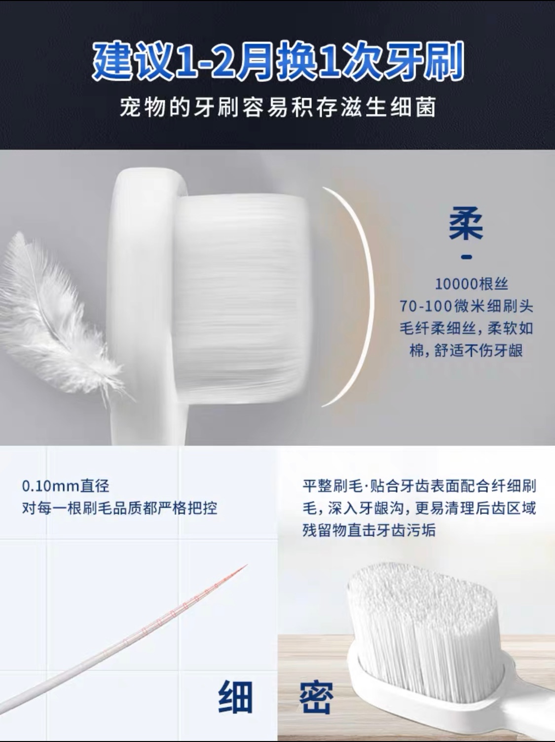 Kojima 榮菌酶牙膏 80g 牙刷