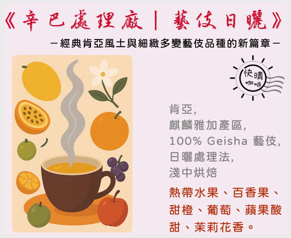 肯亞｜辛巴處理廠｜藝伎品種｜日曬處理法