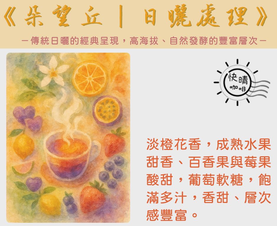 衣索比亞｜西達摩｜朵望丘合作社｜日曬處理法