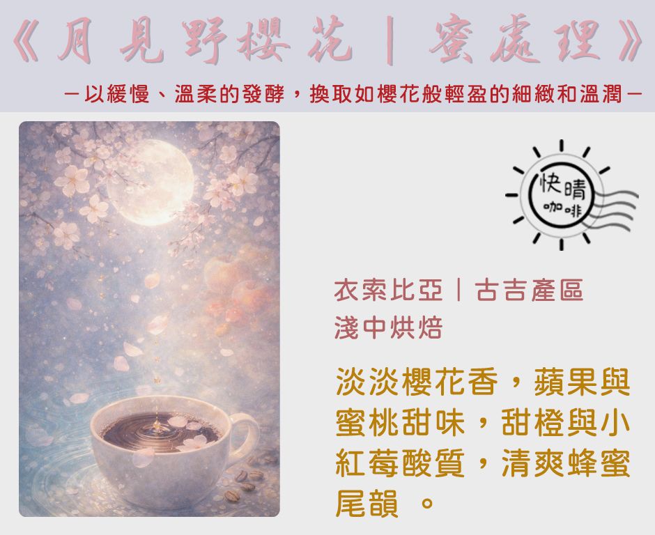 衣索比亞｜古吉｜月見野櫻花｜慢乾蜜處理法