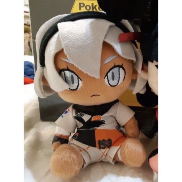 寶可夢 劍盾 寶可夢中心DLC特典娃娃 彩豆