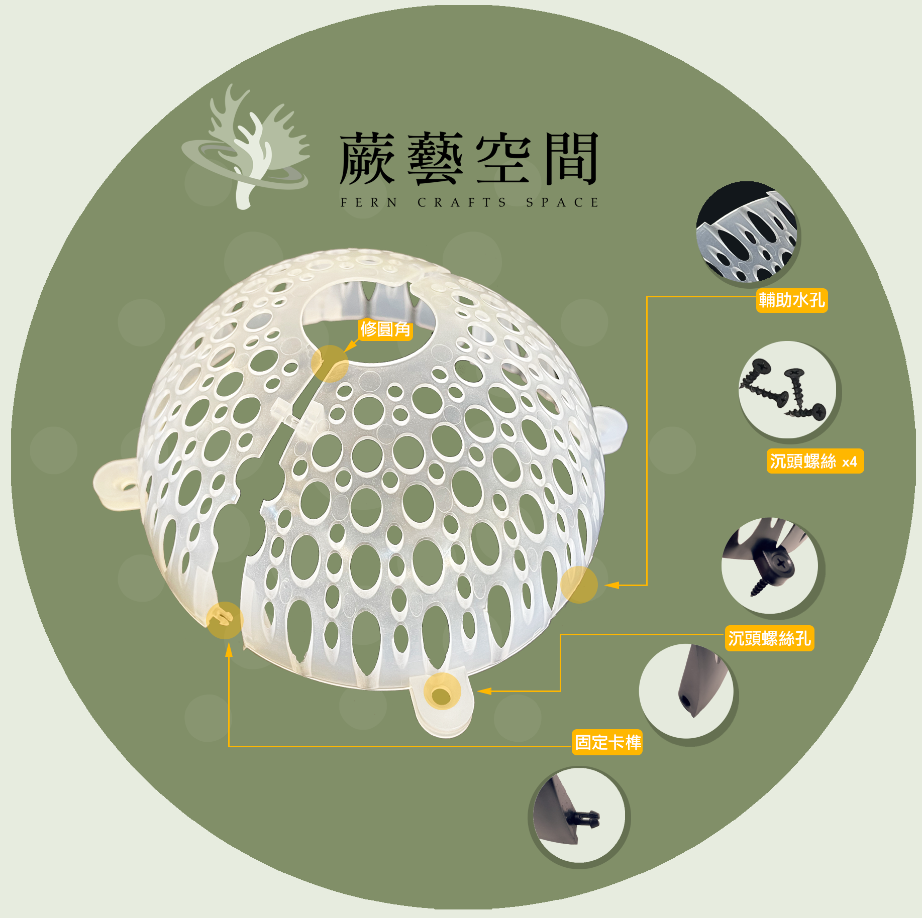 ［蕨藝好球 v2.0 -透白水晶］鹿角蕨上板 蘭花