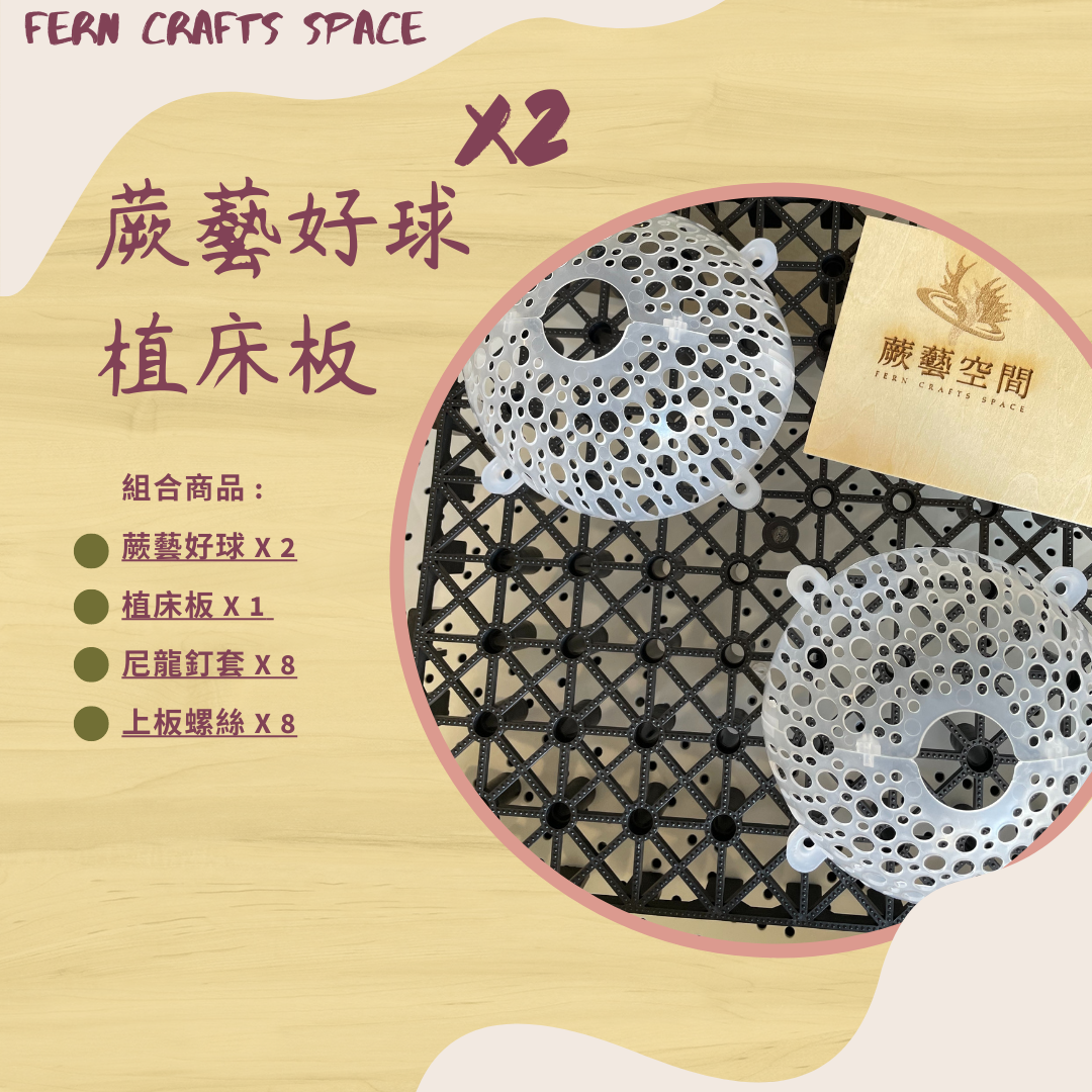 [蕨藝好球v2.0-透白水晶 x2 + 植床板組合] 鹿角蕨上板 可用於蘭科，空氣鳳梨，附生植物 [雙顆裝]