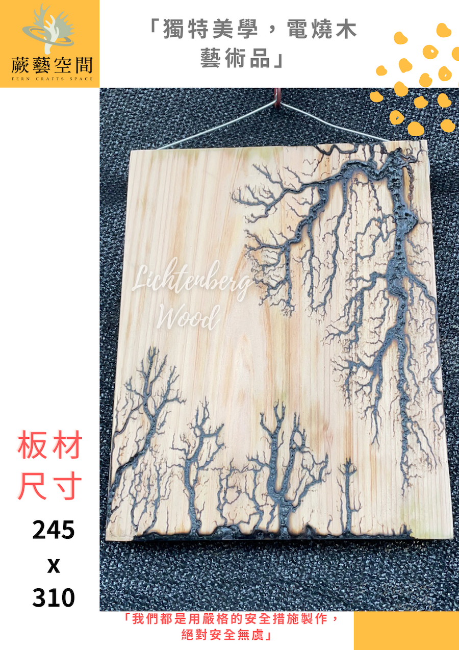 環保美觀，絕佳品質的日本檜木電燒木，搭配鹿角蕨上板，現已全面接受訂購！