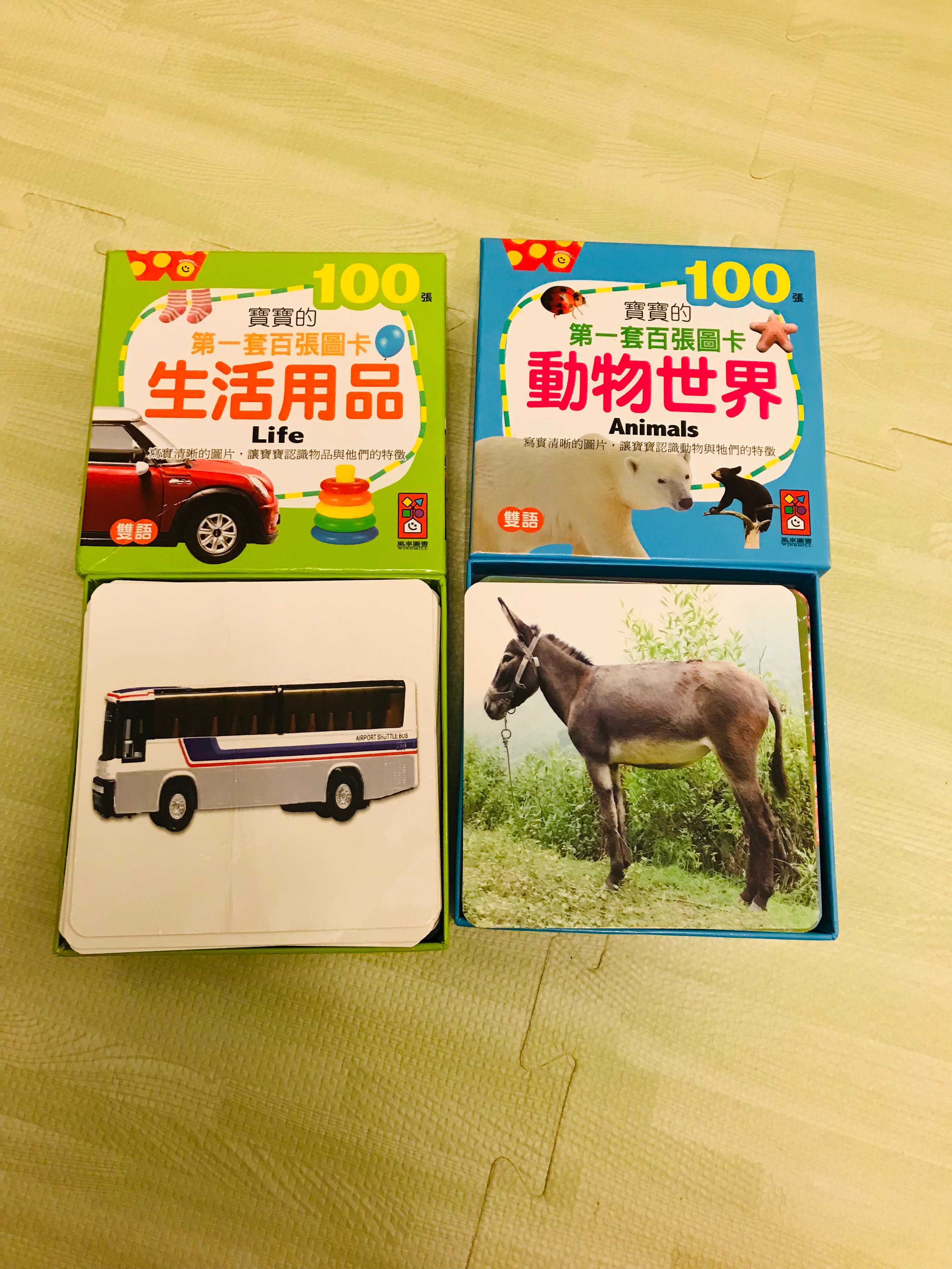 動物世界/生活用品-寶寶的第一套100圖卡