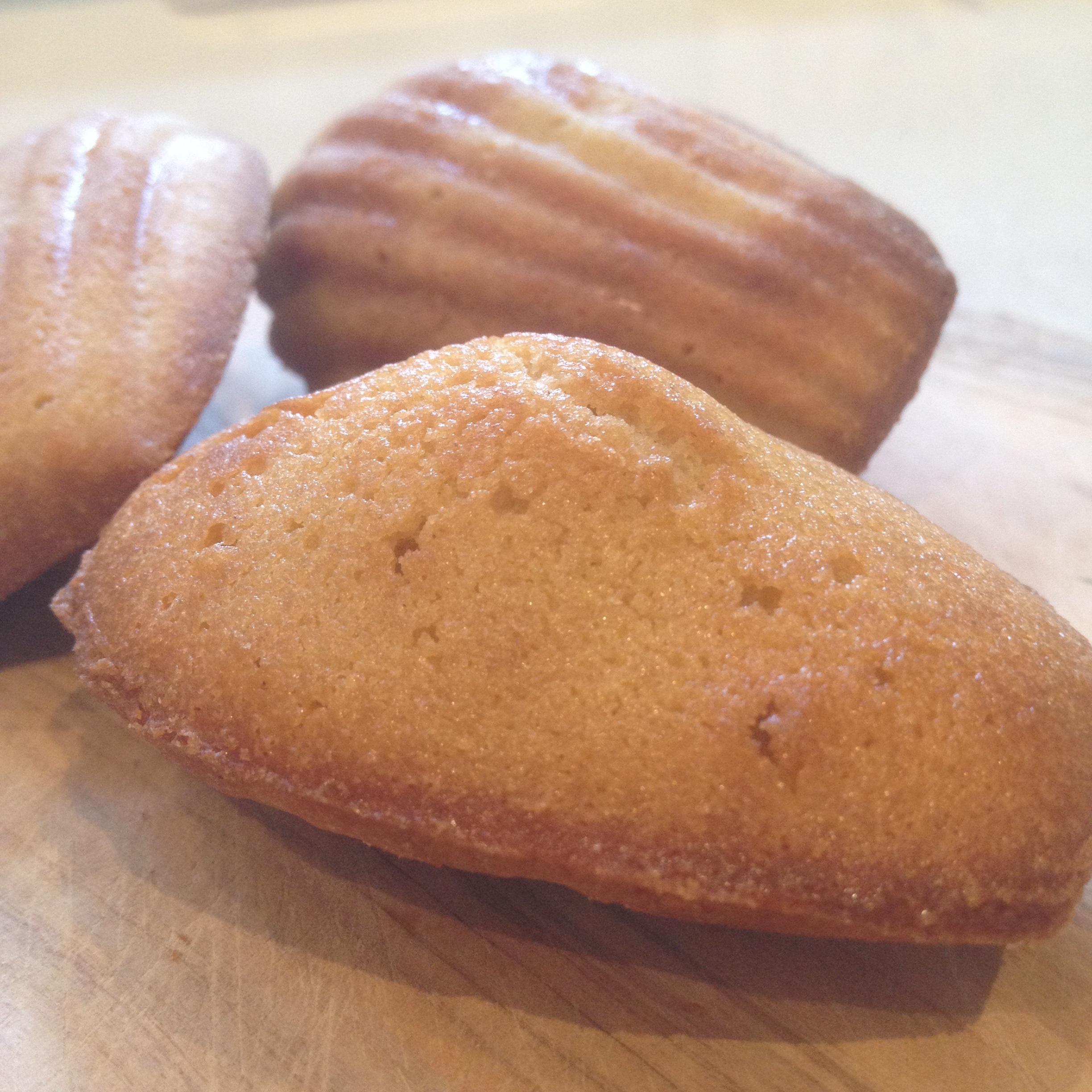 我們的小馬，瑪德蓮