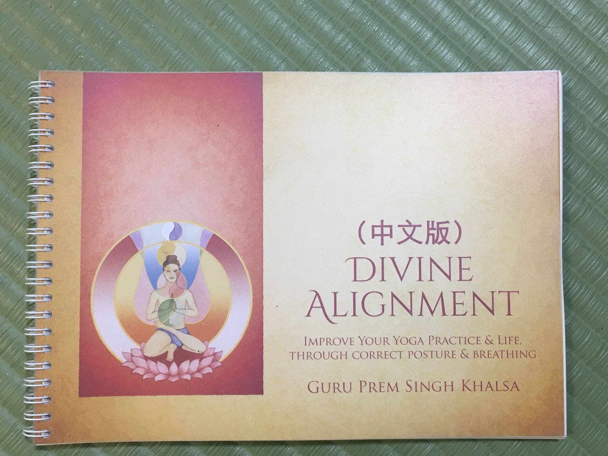 昆達里尼瑜伽重量級體式書籍_神聖體式