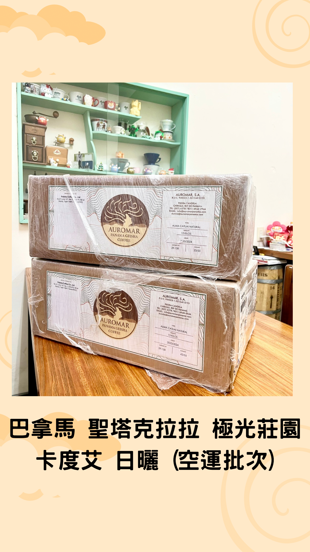 巴拿馬 聖塔克拉拉 極光莊園 卡度艾 日曬 （空運批次）