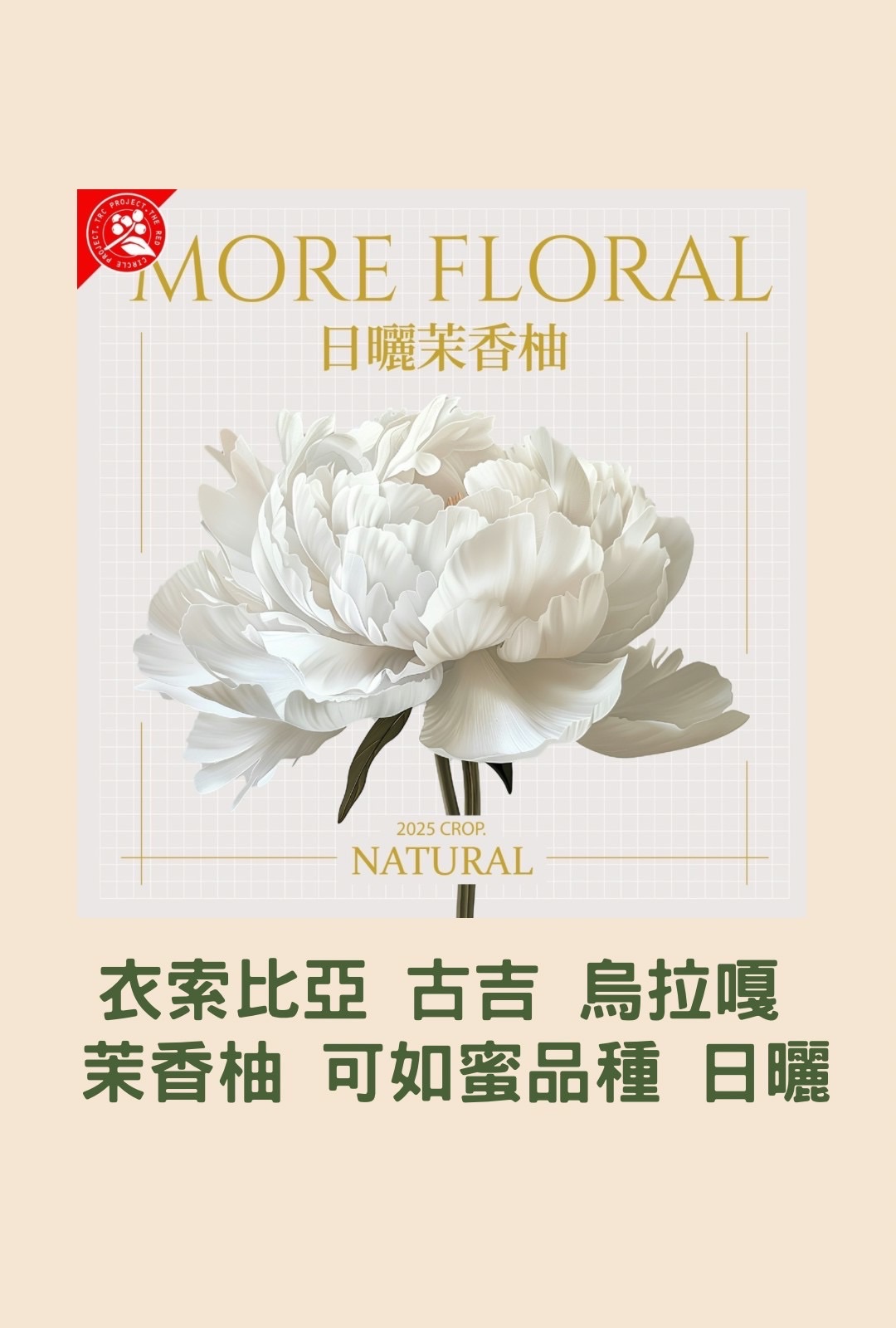 衣索比亞 烏拉嘎 茉香柚處理廠 可如蜜品種 日曬 G1