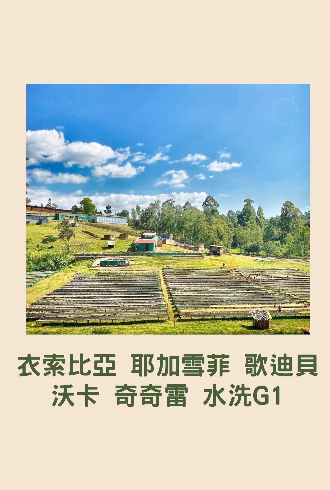 衣索比亞 耶加雪菲 歌迪貝 沃卡 奇奇雷 水洗G1