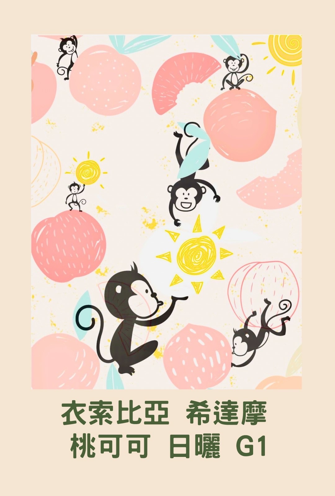 衣索比亞 希達馬 桃可可 日曬 G1 25/01批次