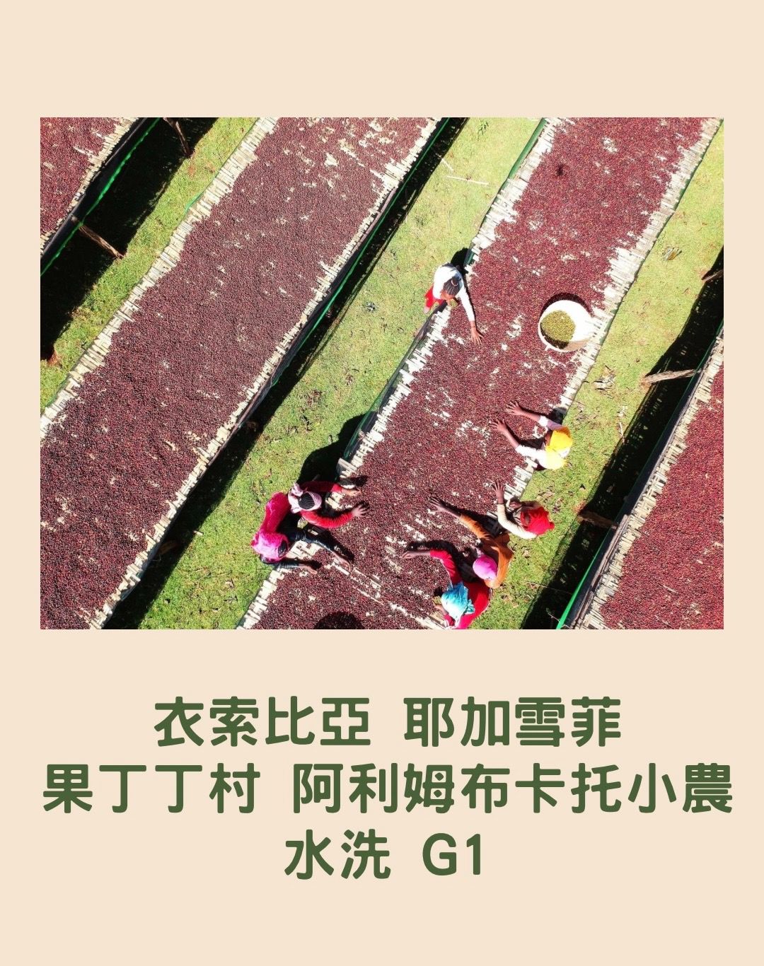 衣索比亞 耶加雪菲 果丁丁村 阿利姆布卡托小農 水洗 G1