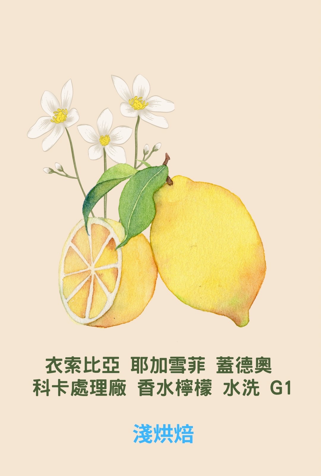 衣索比亞 耶加雪菲 蓋德與 科卡處理廠 香水檸檬 水洗