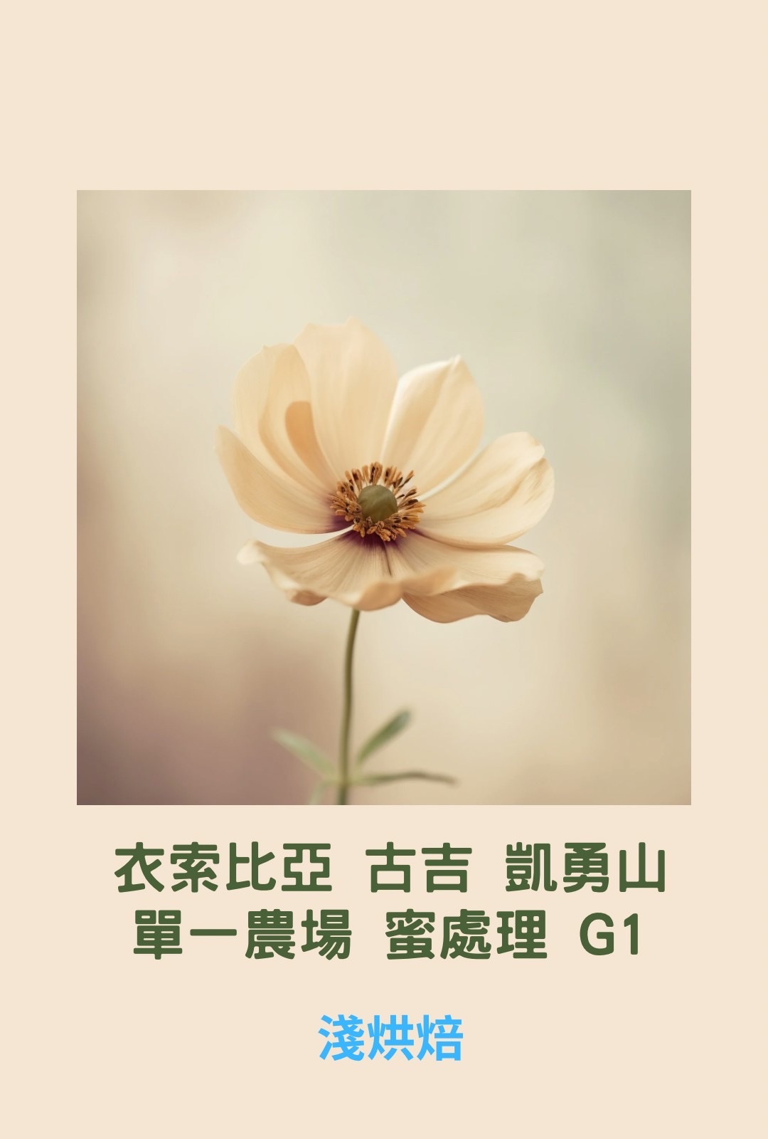 衣索比亞 古吉 凱勇山 單一農場 蜜處理 G1