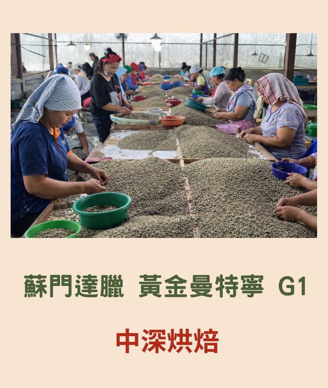 蘇門達臘 黃金曼特寧 G1