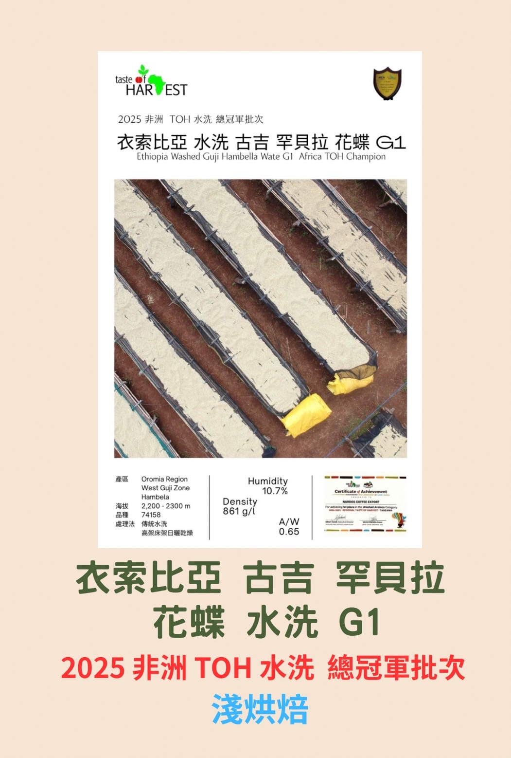 衣索比亞 古吉 罕貝拉 水洗 花蝶 G1 《2025年 TOH 水洗組非洲總冠軍》