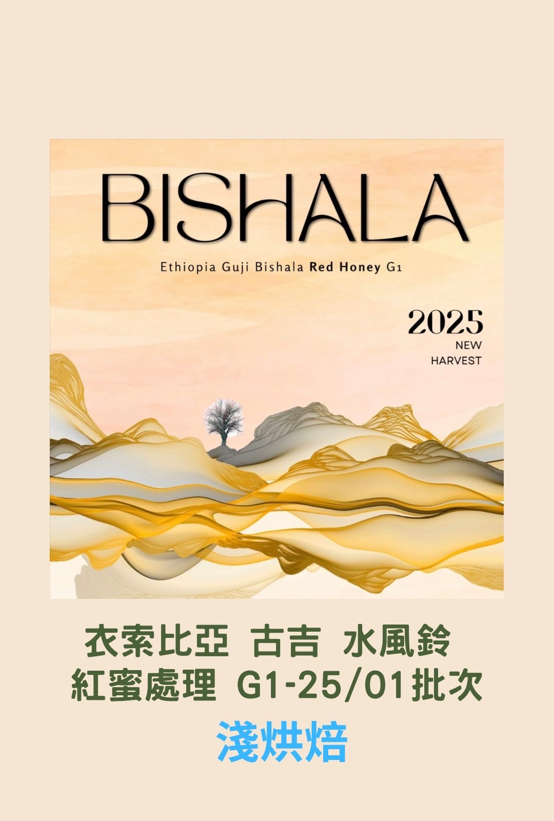 衣索比亞 古吉 水風鈴 紅蜜處理G1 -25/01 批次