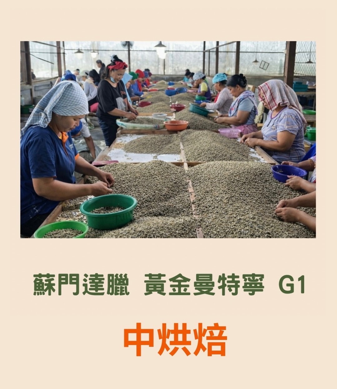 蘇門達臘 黃金曼特寧 G1 中烘焙