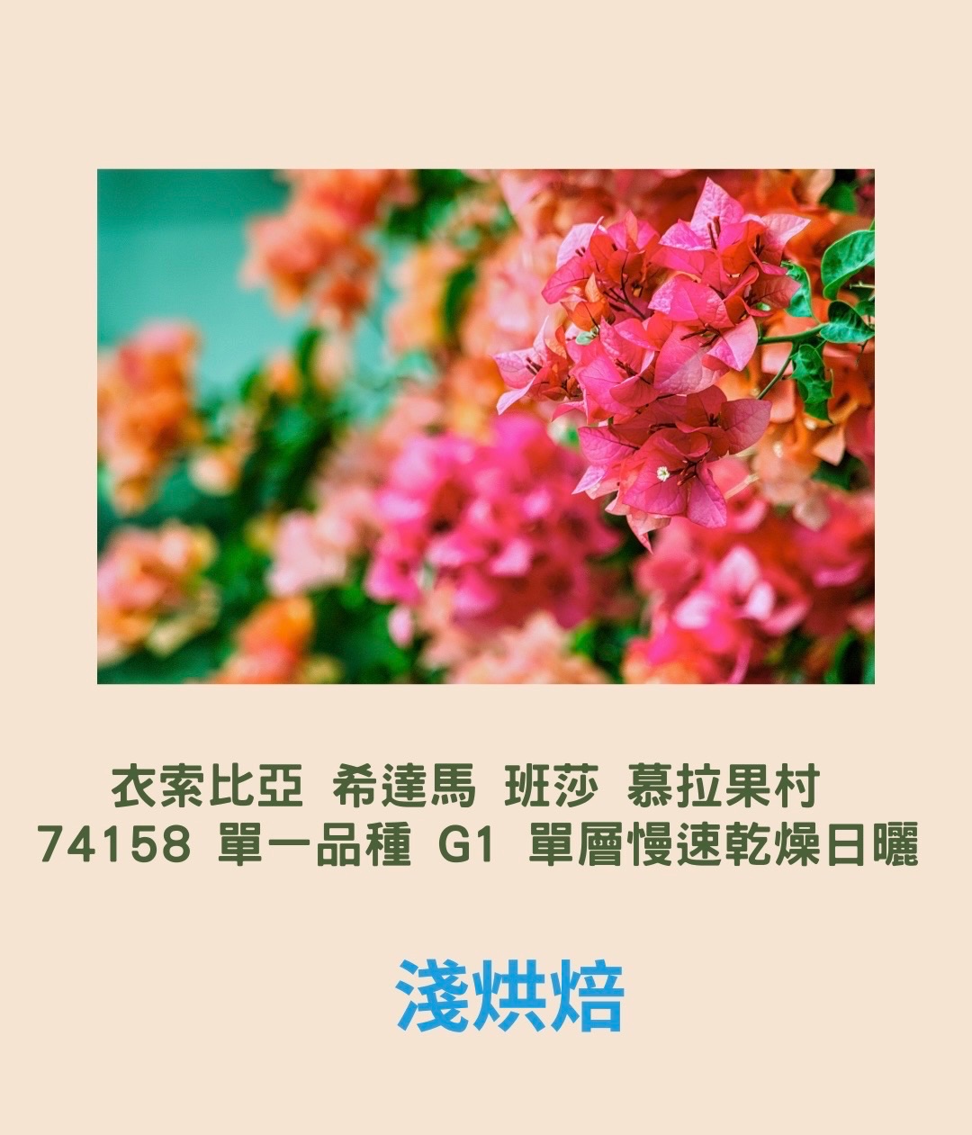 衣索比亞 希達馬 班莎 慕拉果村 74158 單一品種 G1 單層慢速乾燥日曬