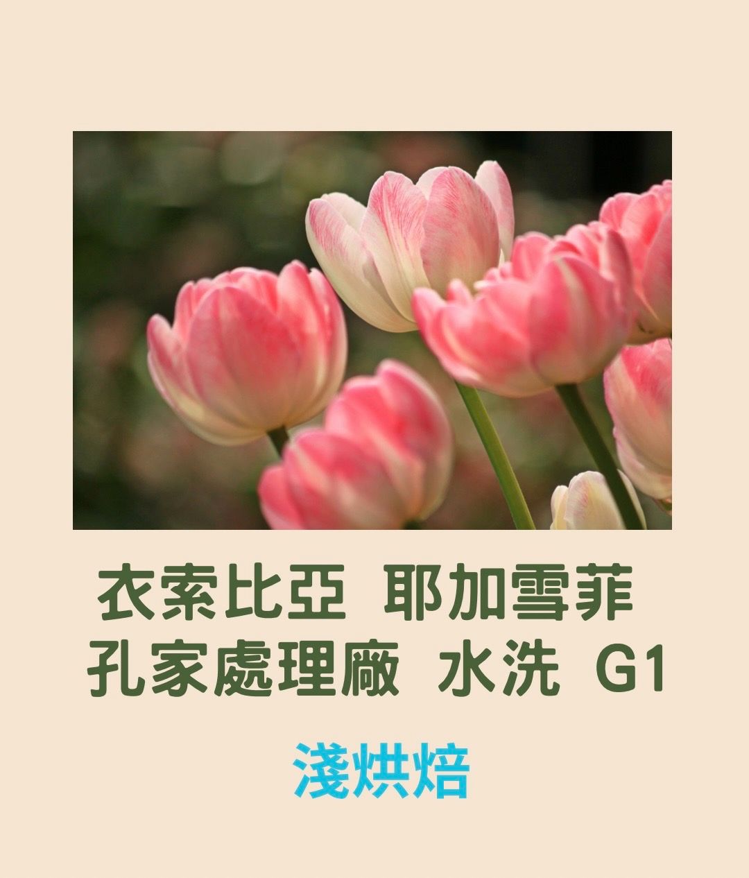 衣索比亞 耶加雪菲 孔家處理廠 水洗 G1