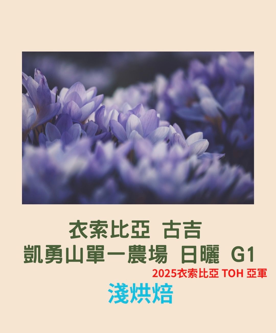 衣索比亞 古吉 凱勇山單一農場 日曬 G1