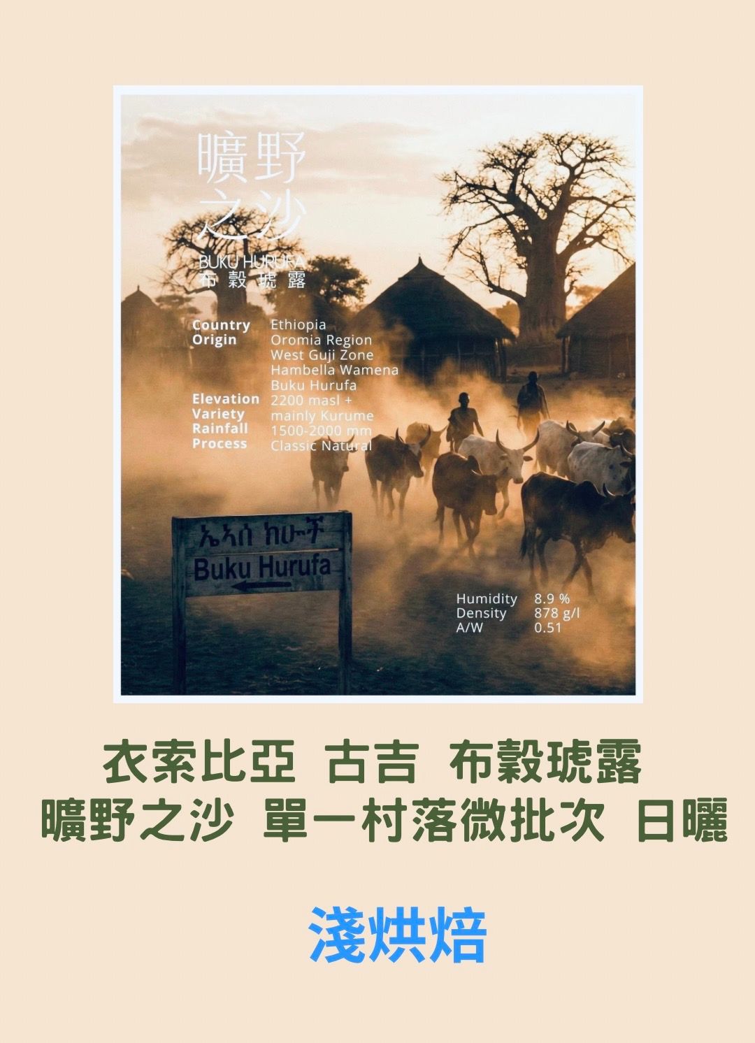 衣索比亞 古吉 布穀琥露 曠野之沙 單一村落微批次 日曬