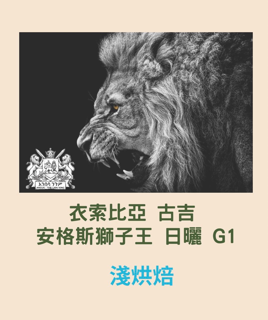 衣索比亞 古吉 安格斯獅子王 日曬 G1