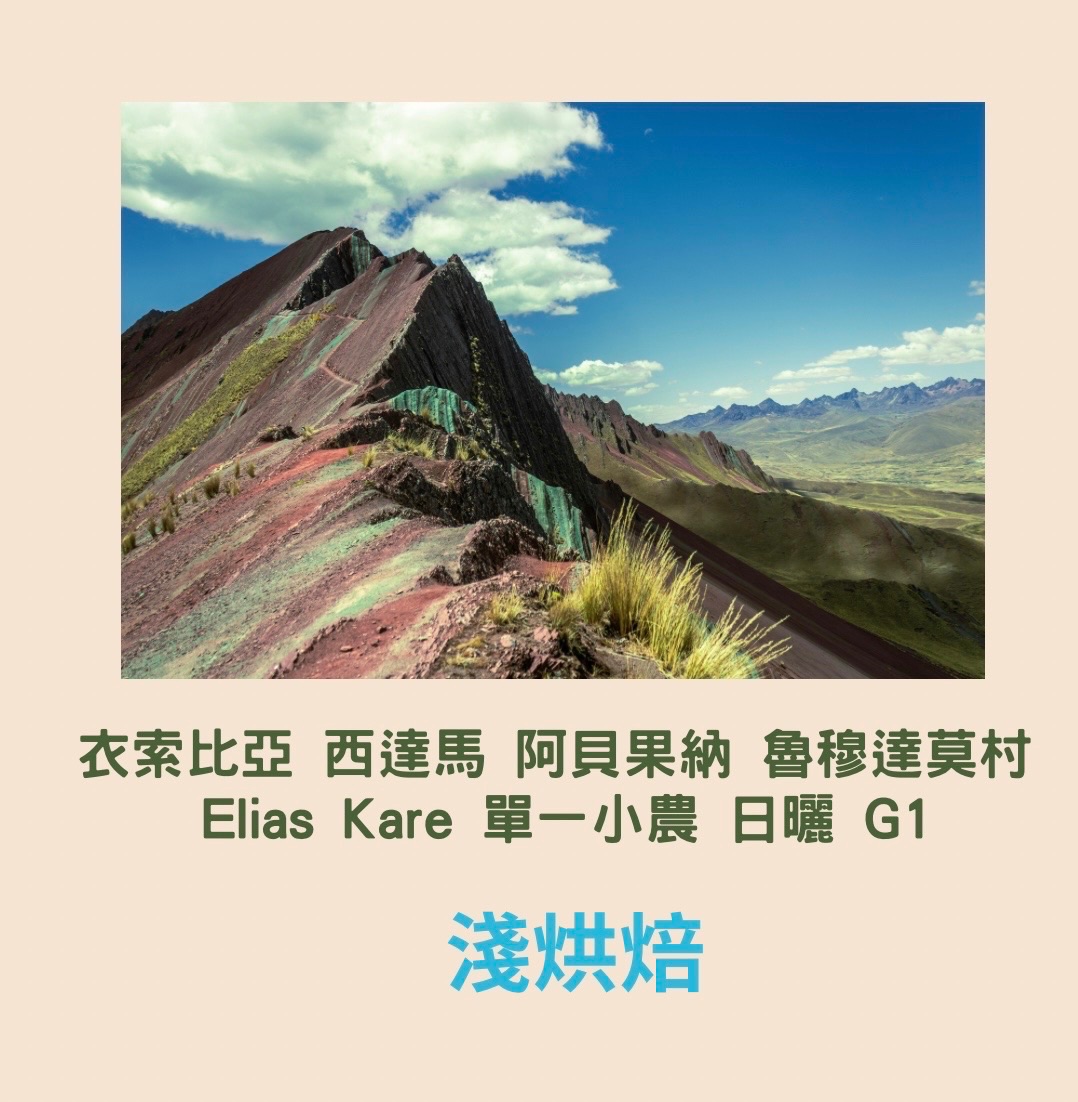 衣索比亞 西達馬 阿貝果納 魯穆達莫村 Elias Kare 單一小農 日曬 G1