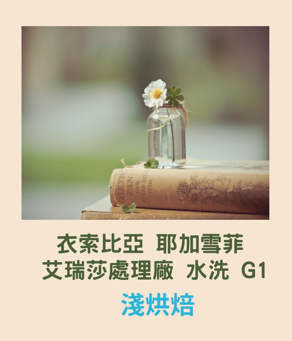 衣索比亞 耶加雪菲 艾瑞莎處理廠 水洗 G1
