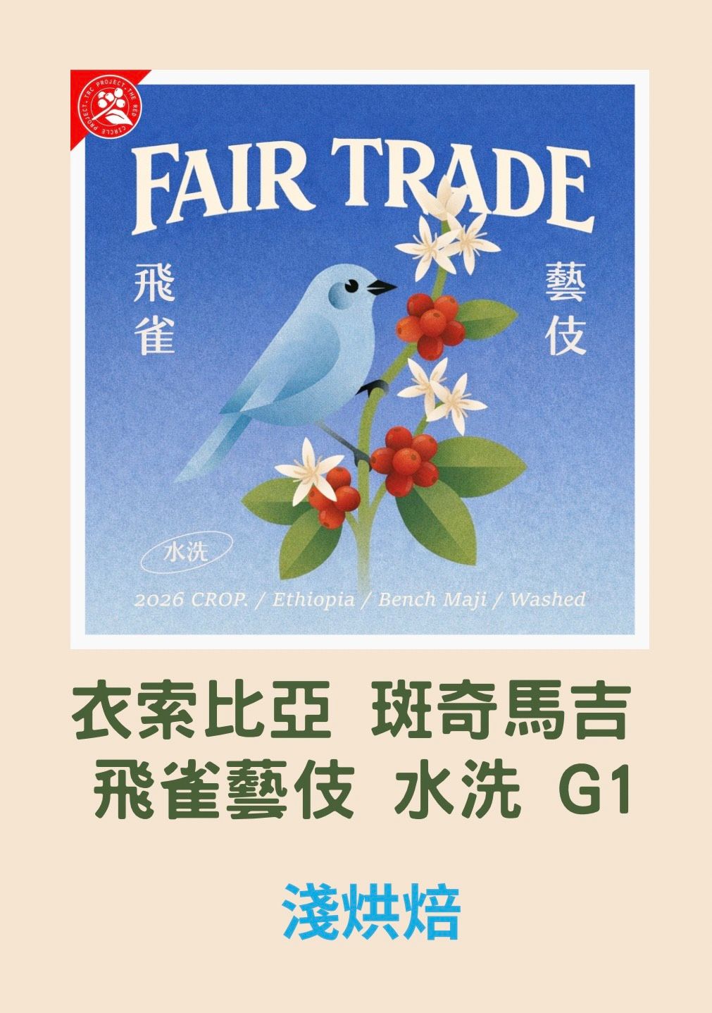衣索比亞 斑奇馬吉 飛雀藝伎 水洗G1