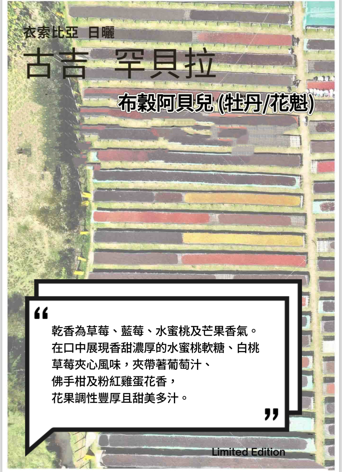 衣索比亞 日曬 古吉 罕貝拉 布穀阿貝兒 （牡丹/花魁） G1