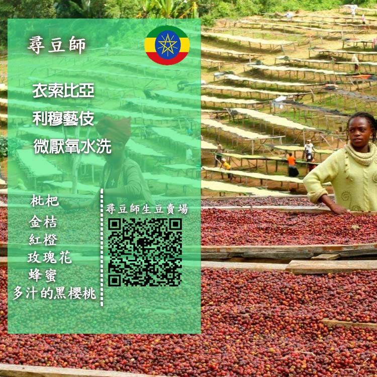 衣索比亞 利穆藝伎水洗