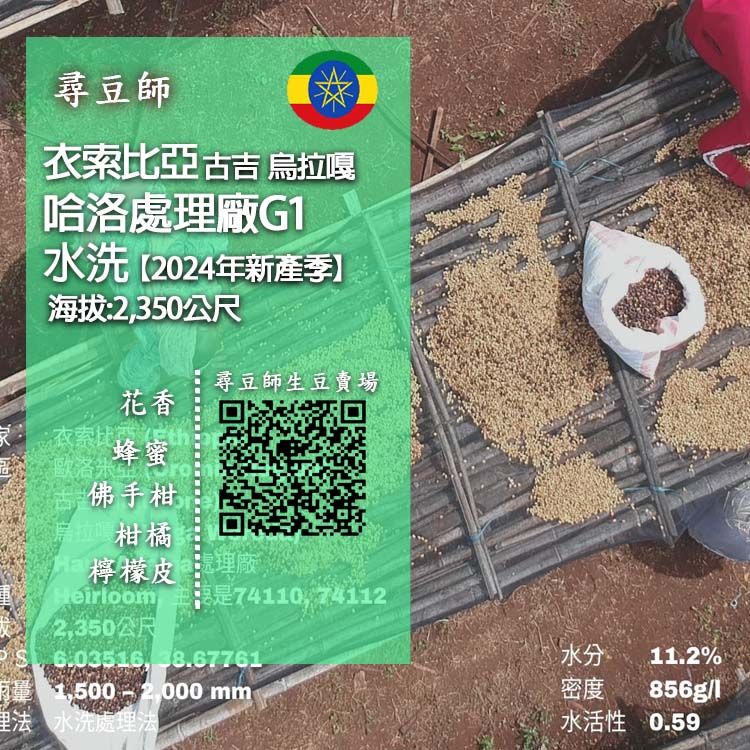 衣索比亞  哈洛處理廠G1