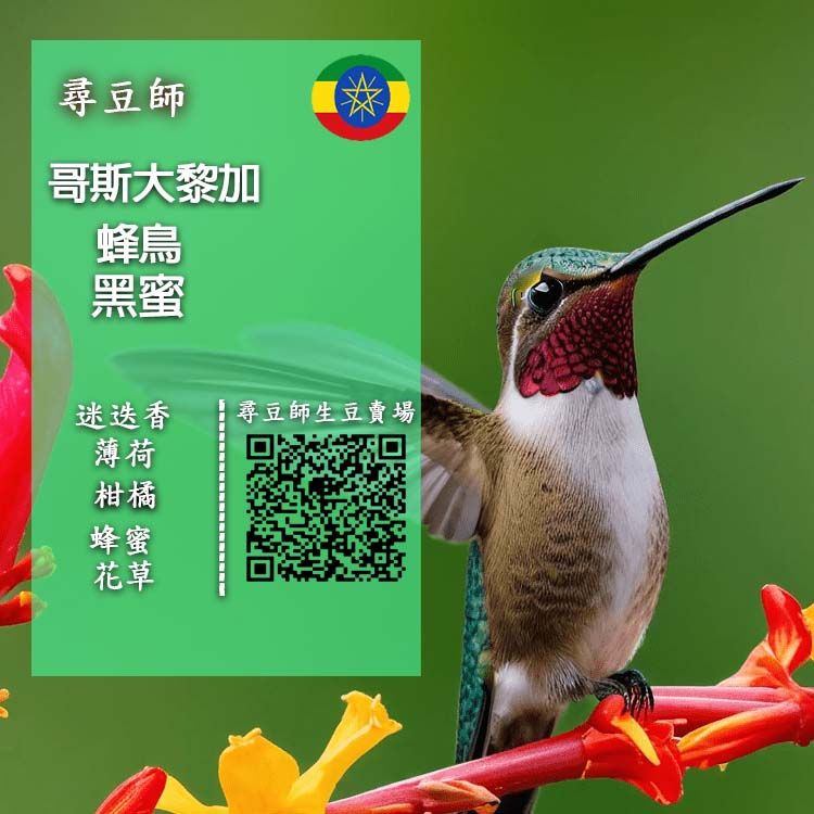 哥斯大黎加 蜂鳥 黑蜜