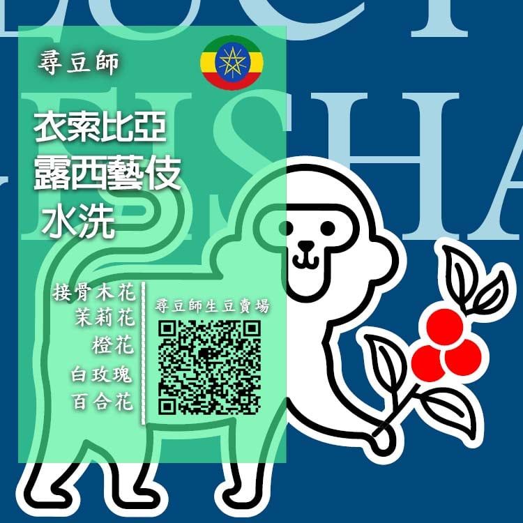 衣索比亞 露西藝伎水洗