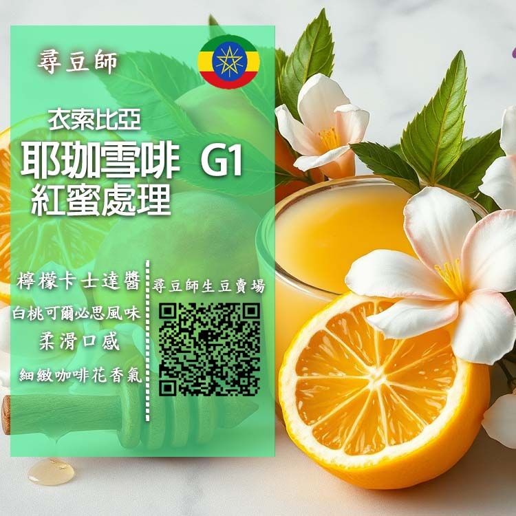 衣索比亞 耶珈雪啡