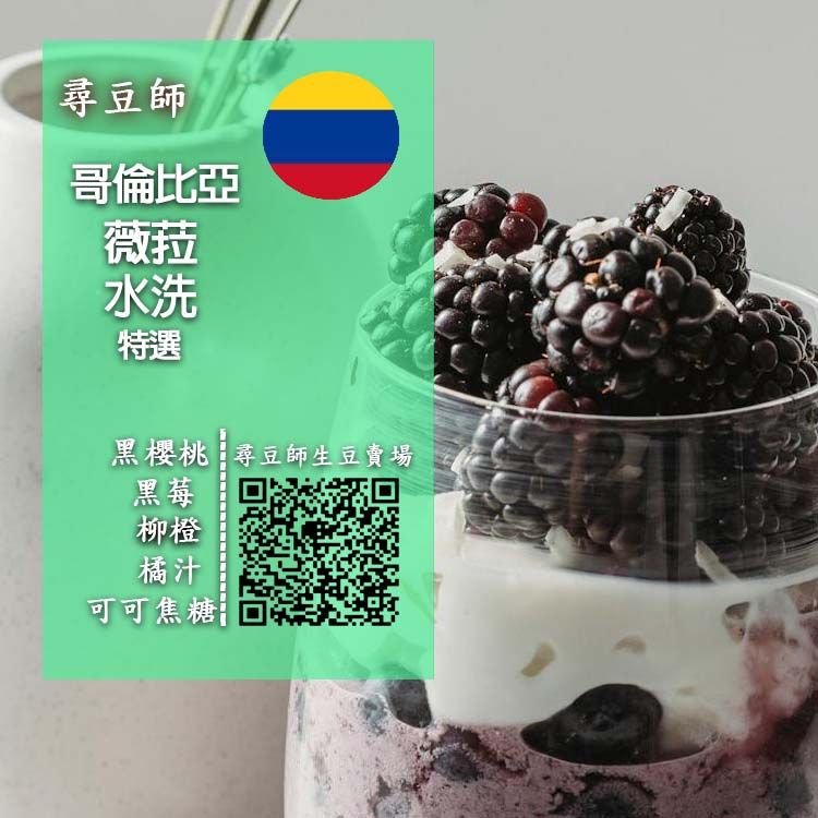 哥倫比亞 薇菈 特選 水洗