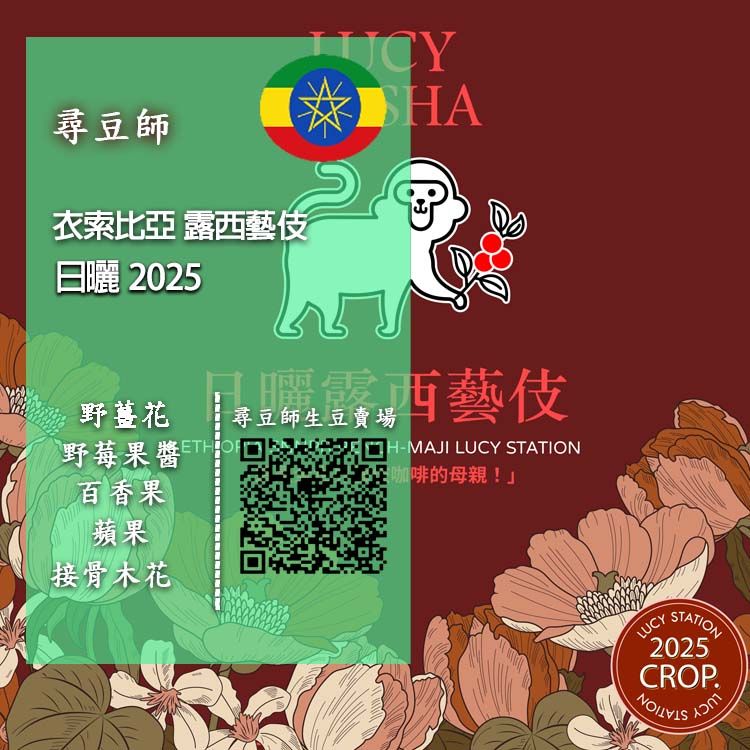衣索比亞 露西藝伎 日曬 2025