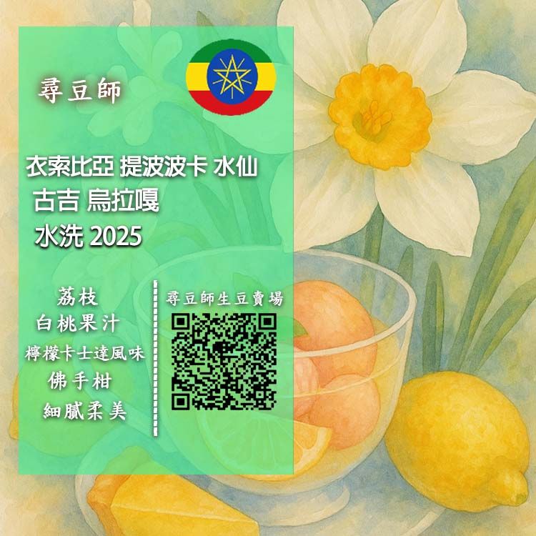 衣索比亞 提波波卡 水仙