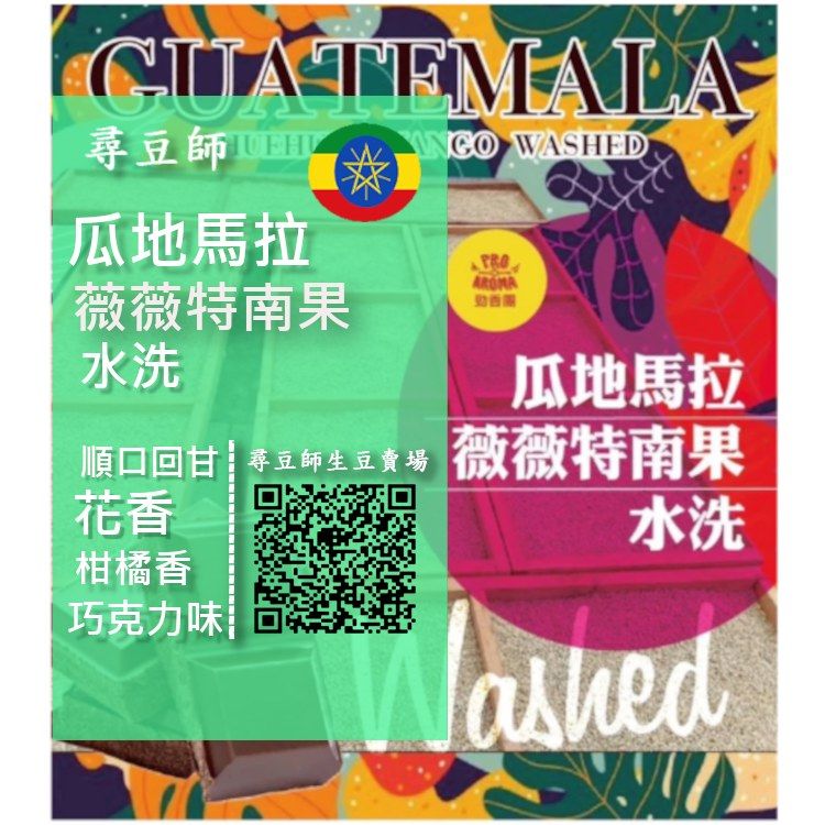 瓜地馬拉 薇薇特南果 水洗