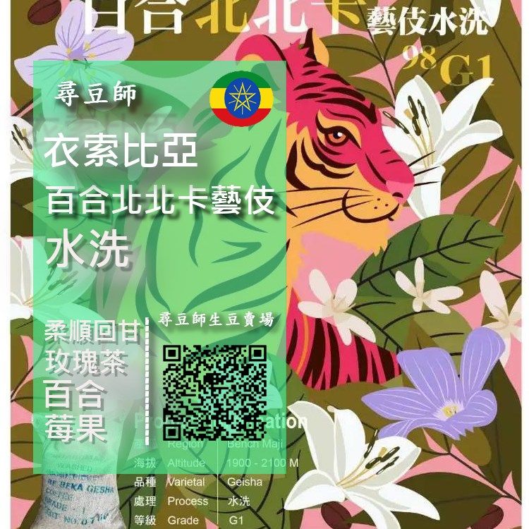 衣索比亞 百合 北北卡 藝伎水洗98 G1