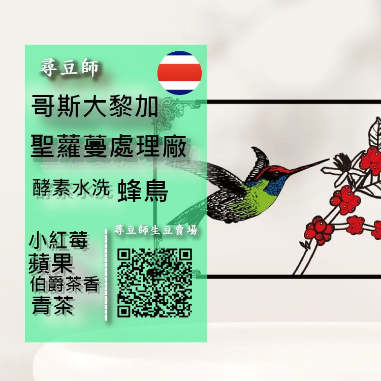哥斯大黎加 聖蘿蔓處理廠 蜂鳥 酵素水洗