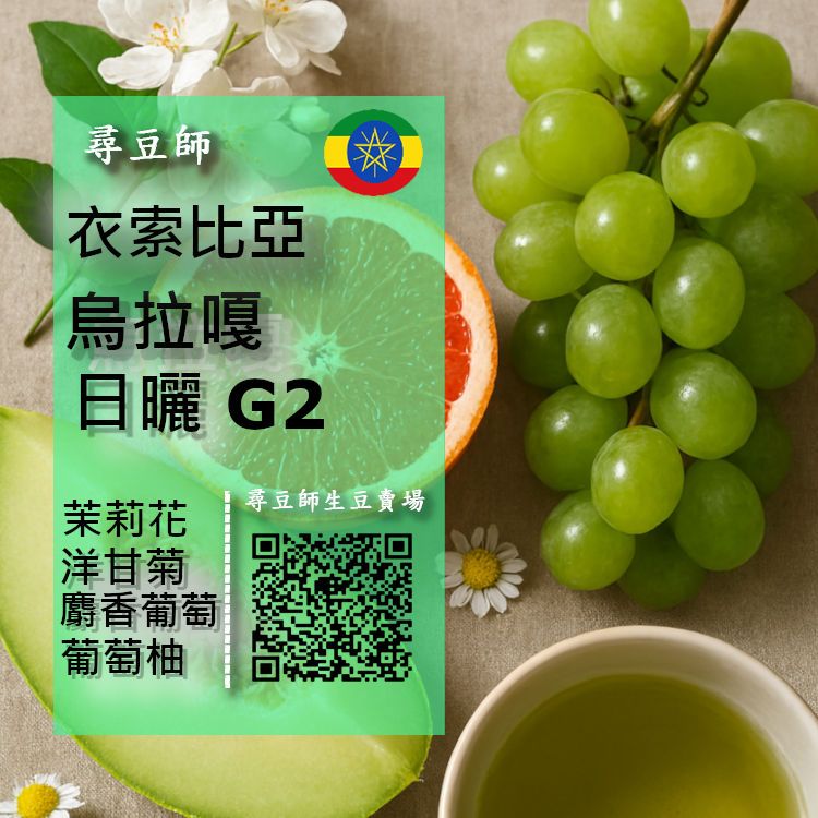 衣索比亞 古吉 烏拉嘎 日曬 G2