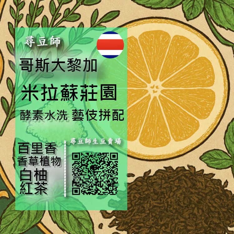 哥斯大黎加 米拉蘇莊園 Catajo 藝伎拼配 酵素水洗